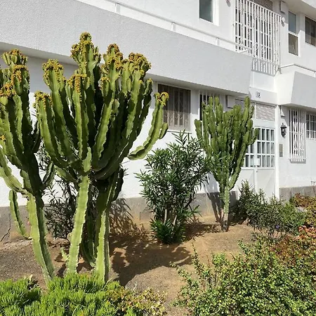 Appartement Castrillo13